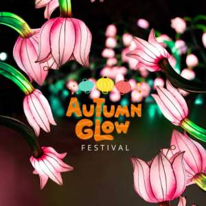 Autumn Glow – Schenectady, NY