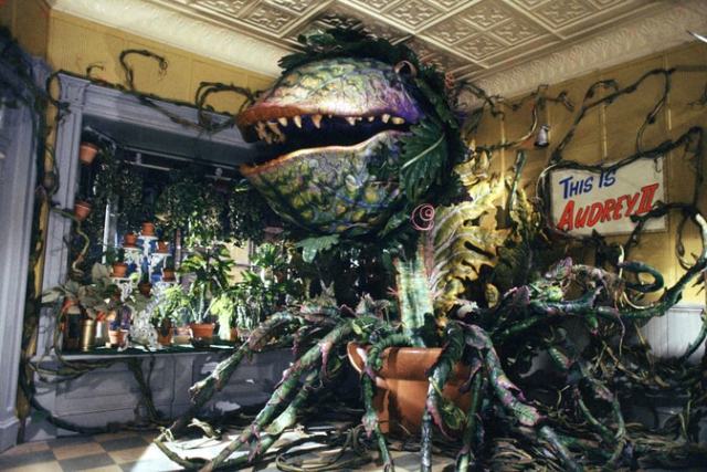little shop horrors photo17 little shop horrors photo17