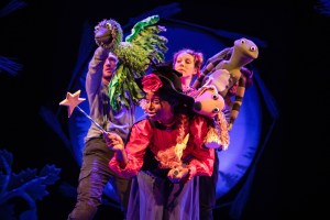 Room on the Broom Live On Stage