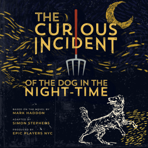 The Curious Incident of the Dog in the Night-Time