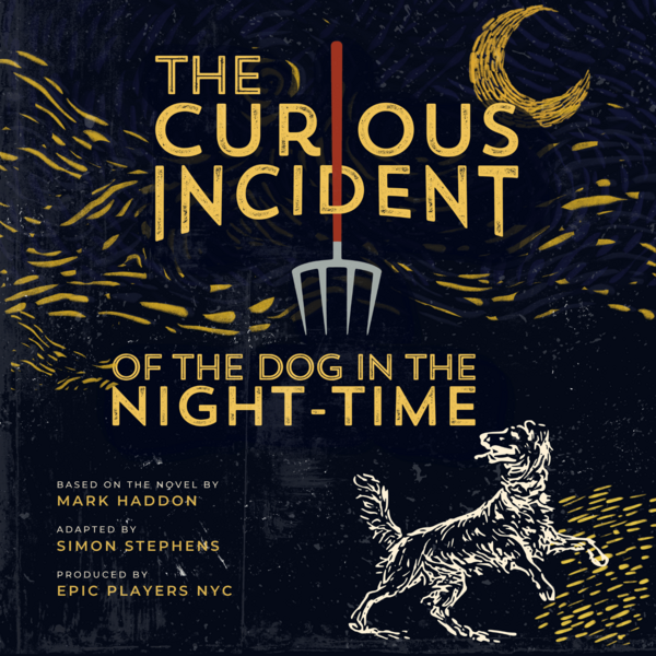 Curious Incident Poster (4)