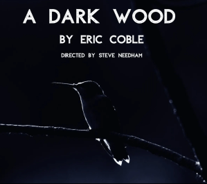 Tin Drum Theatre Company Presents the Chicago Premiere, “A Dark Wood,” October 15 – November 1