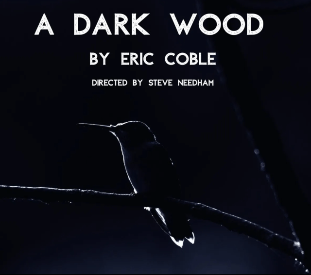 Event Logo: LOGO TinDrum A Dark Wood