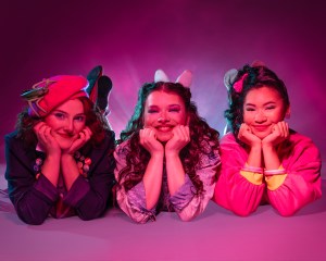 Girls Just Want To Have Fun World Premiere at Pittsburgh Playhouse Announces Cast