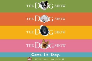 The Dog Show: Come. Sit. Stay.